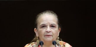 Se avanza para incluir a periodistas independientes en la Ley del Seguro Social: Ivonne Cisneros