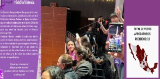 #YaEsLey: Feministas vencen resistencias del legislativo y logran aprobación de Ley 3 de 3