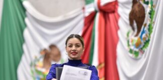 Plantea Diputada atribuciones locales para evitar contaminación visual .