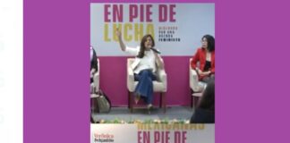 Mexicanas en Pie de Lucha en el Senado #Video