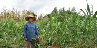 De cada 10 personas con lupus, entre siete y nueve son mujeres .