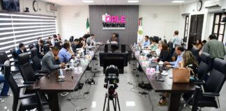Aprueba OPLE Veracruz integración del Comité Técnico Asesor para Consulta a personas con discapacidad