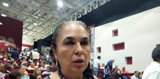 Nueva ley elimina porcentaje mínimo del 1% del PIB para inversión en ciencias, critica ex rectora.