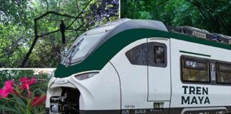 OBRAS INSIGNIA, DEJARÁN POBRE A MÉXICO .