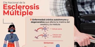 Explica IMSS Veracruz Sur sobre síntomas de esclerosis múltiple .