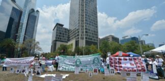 La disputa por la Glorieta de las y los Desaparecidos .