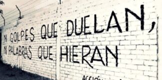 Violencia Contra las Mujeres, niñas y niños; Más allá de los datos: RNR