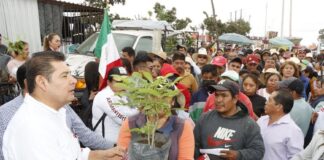 Senador Armenta llama a sumarse a jornadas de reforestación “Sembremos Esperanza”