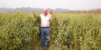 Asesinan a ambientalista y defensor del Iztaccíhuatl .