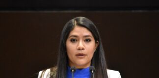 Demandan investigar al Gobierno de CDMX presunto robo de víveres recolectados para damnificados del sismo de Turquía