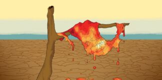 Ola de calor, una probadita de lo que sucederá en las próximas décadas.