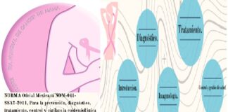 Cancelación por decreto de normas oficiales en México deja a mujeres con cáncer de mama y cervicouterino en total indefensión