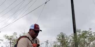 Secretario de Gobierno en Veracruz niega persecución contra Viridiana N y cafetaleros