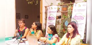 Feministas promueven una Acción de Inconstitucionalidad en contra del Congreso y Gobernador de Chiapas .