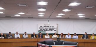 Analizan en la Cámara de Diputados impacto de las redes sociales en las niñas, niños y adolescentes