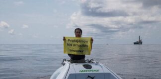 UV se deslinda de investigación sobre el riesgo del gasoducto sobre arrecifes veracruzanos.