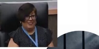 La Defensoría Pública Federal anuncia respaldo a la Jueza de Veracruz.