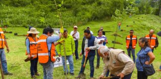 Inicia Ayuntamiento de Xalapa Programa de Reforestación y Arborización 2023.