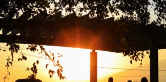 Medidas preventivas por ola de calor deben mantenerse #Xalapa