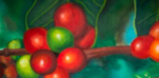 Invita Ayuntamiento de Xalapa al Tour de Barras, “Xalapa, Café y Aroma” .