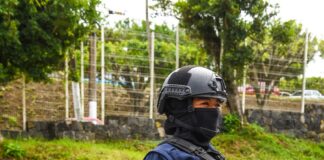 Cuenta Xalapa con Brigada de Vigilancia Animal .