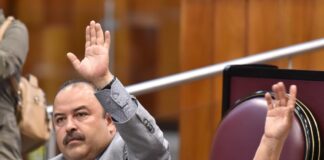 Plantea Diputado actualizar monto deducible para adquisición de vehículos nuevos.