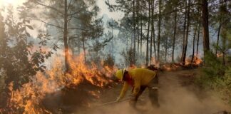 Reportan avances en liquidación de incendio en Veracruz.
