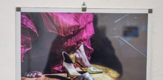 Recibe CRX exposiciones fotográficas con entrada libre #Xalapa