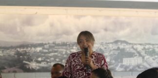 Elección interna de Morena podría afectar su fiscalización electoral, advierte Marisol Delgadillo