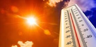 De 48 fallecimientos por ola de calor en México, 14 han sido en #Veracruz.