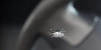 Carreteras veracruzanas, riesgo para el conductor