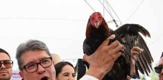 Ricardo Monreal reafirma su compromiso con la continuidad de la Cuarta Transformación .