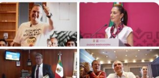 Un único encuestado .