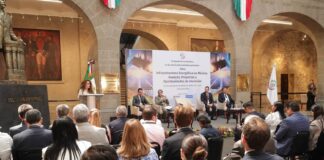 Plantean desde el Senado impulsar trabajo entre gobierno e IP para aprovechar potencial energético