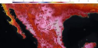 Arde México por las temperaturas extremas que alcanzan .