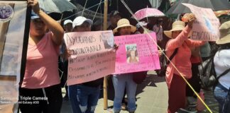 Miriam Iranis, joven de fuerza Civil desapareció hace 15 días y acusan inacción de autoridades de Veracruz .