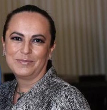 Veracruz y la protección animal .