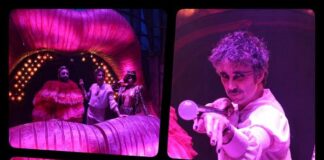 The Hole X, un espectáculo que invita a vivir libre sin prejuicios y libertad