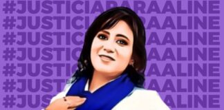 Aline había descubierto que su pareja era feminicida de una joven en Xalapa, crimen que no se investigó en 2015.