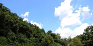 Se agregan al patrimonio municipal 120 mil metros cuadrados de reserva natural protegida