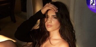 Camila Cabello recibirá el reconocimiento Agente de Cambio en los Premios juventud .