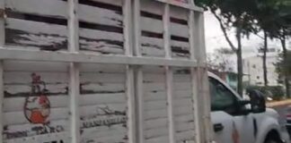 Descubren camioneta plagada de propaganda de Eric Cisneros