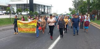Comerciantes de Las Trancas protestan por bajas ventas durante construcción.