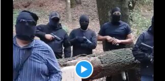 #Alerta: Delincuentes amenazan al reportero Carlos Jiménez C4.