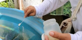 Se confirman casos de dengue previo a la temporada de mayor proliferación.