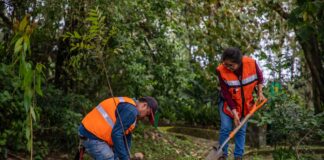 Invita Ayuntamiento a participar en jornada dominical de reforestación .
