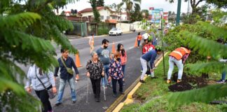 Siembra Ayuntamiento más de 350 árboles en la avenida Lázaro Cárdenas .