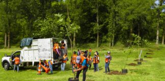 Jornada de reforestación, el 5 de agosto, en Xalapa .