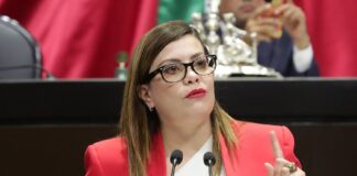 Exhorta Lilia Aguilar a SCT y AFAC a que en aeropuertos nacionales se facilite el traslado de leche materna y dispositivos para extraerla