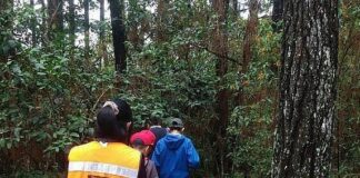 Invita Medio Ambiente a talleres de verano en parques El Haya y Macuiltépetl .
